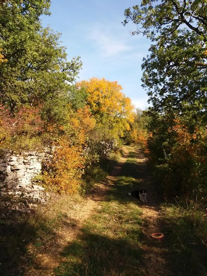 Les Trois Prunelles Saint-Pierre-Toirac 0*,  França